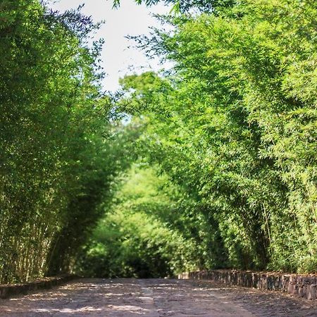 لينكويس Pousada Bosque Do Lapao المظهر الخارجي الصورة