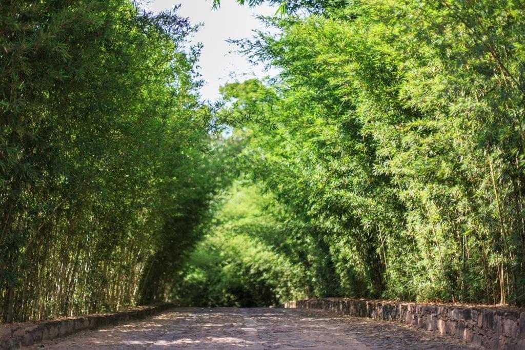 لينكويس Pousada Bosque Do Lapao المظهر الخارجي الصورة